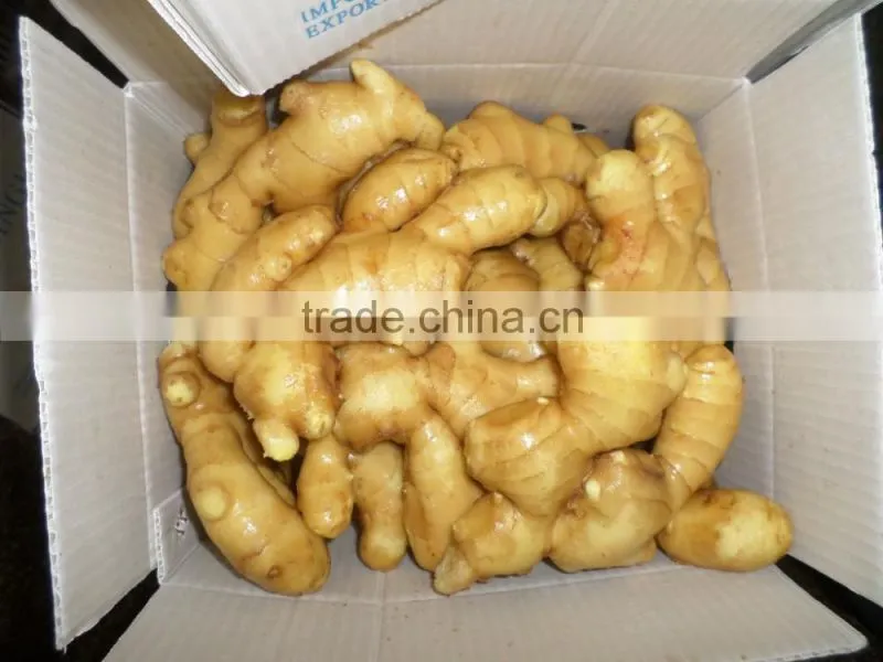 2016 Chinese fresh ginger wet dry half dry skin super quality