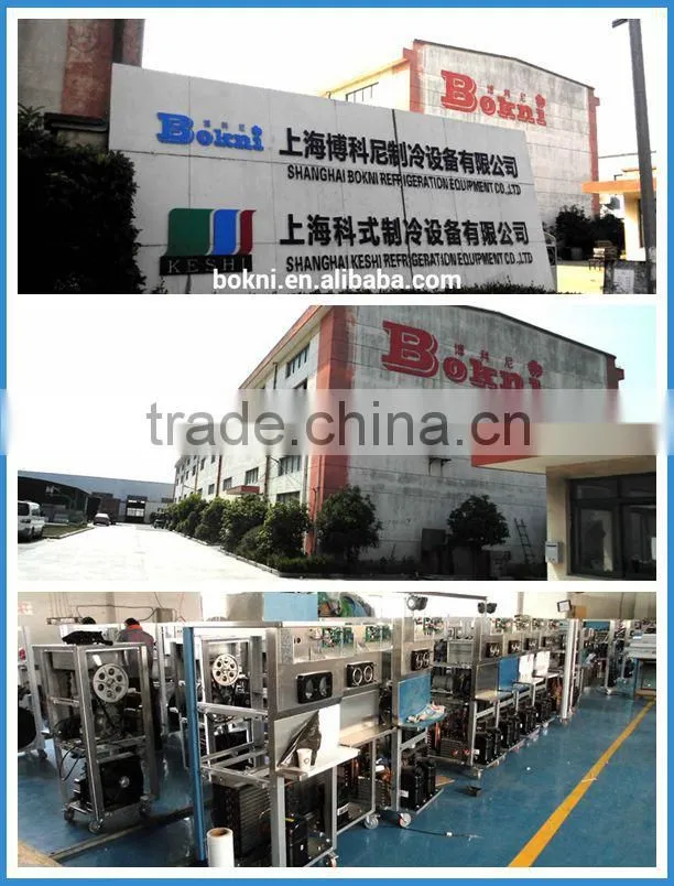 High quality popsicle showcase BKN-B1-1600 with CE approved