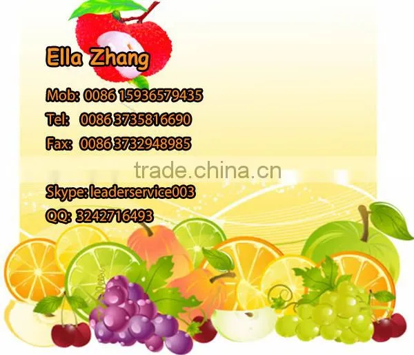 Leader low price kiwi peeling machine