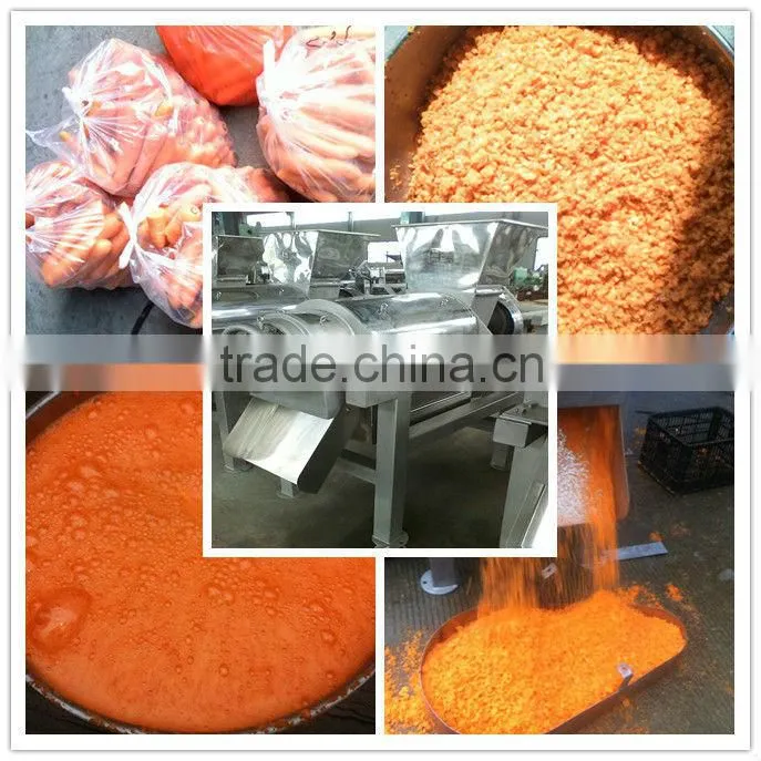 food fruit Apple/Pear/Carrot/Ginger/ Fruit Juice Extractor