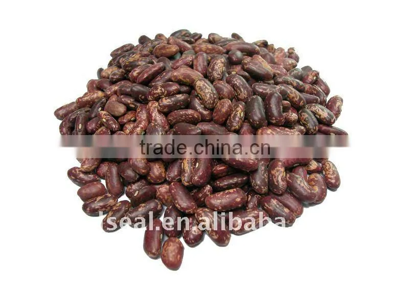 Round shape light speckled kidney beans
