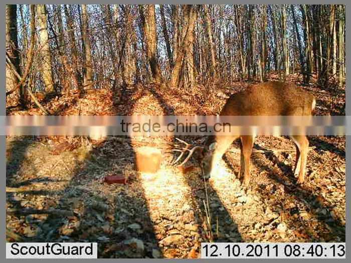 PIR snesitivity pir camera hunting