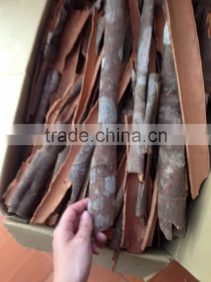 VIETNAM CASSIA/CINNAMON STICKS/SPLIT CHEAP PRICE