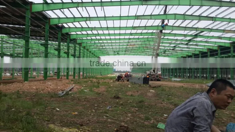 Colorful Steel Structure Fabricated Workshop Buildings