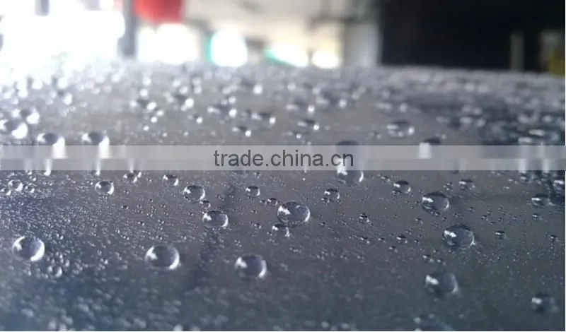Car Care Car Detailing 9H Nano SIO2 Coating Nano silica coating