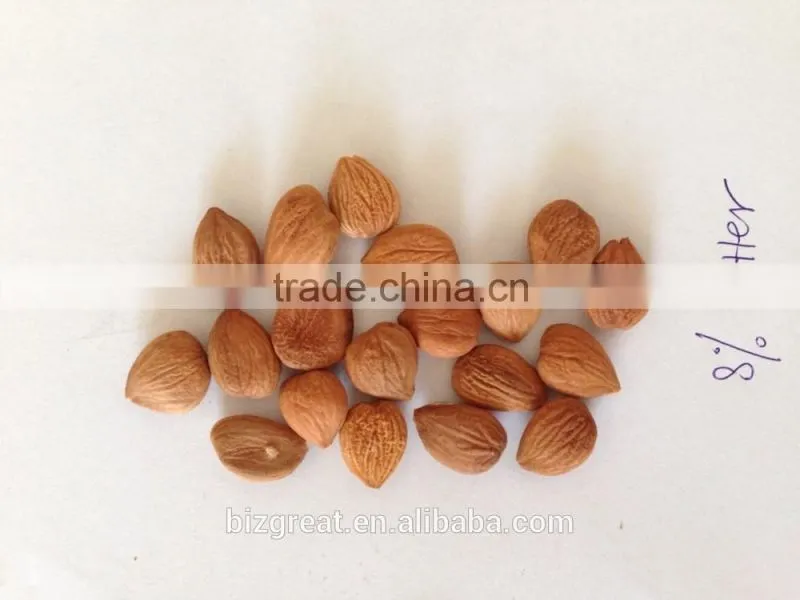 Supply with China Origin Sweet Apricot Kernels for Sales