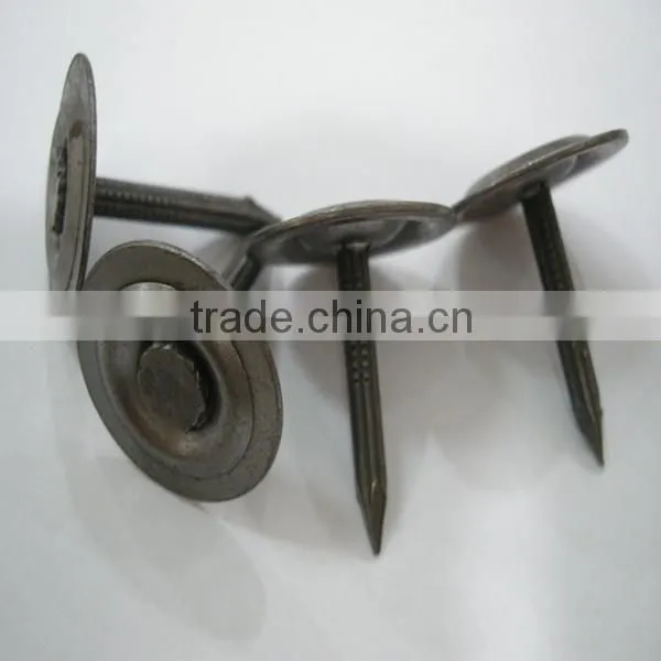 Metal round cap masnory nails/iron nails/roofing nails