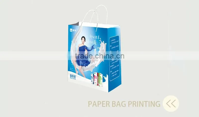 Chinese Factory OEM Production Customized Paper Bag