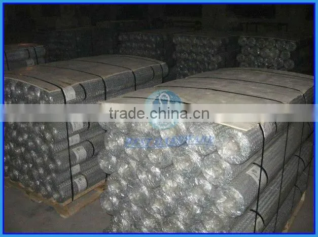 chicken coop galvanized wire mesh