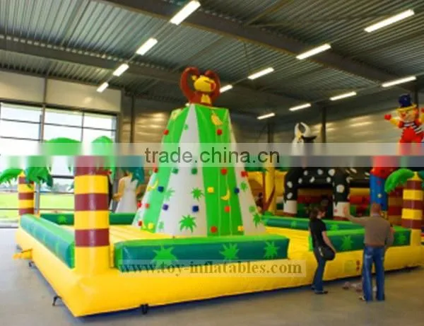 Top quality professional inflatable climb in ball