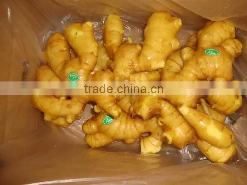 Chinese Fresh Ginger