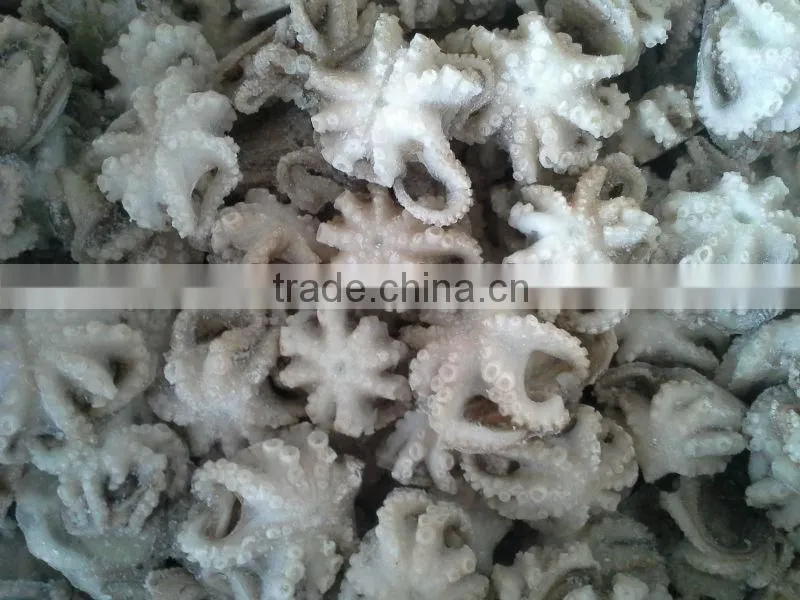 Frozen baby octopus 20-60g