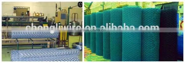 double twist pvc coated gl Hexagonal chicken wire mesh
