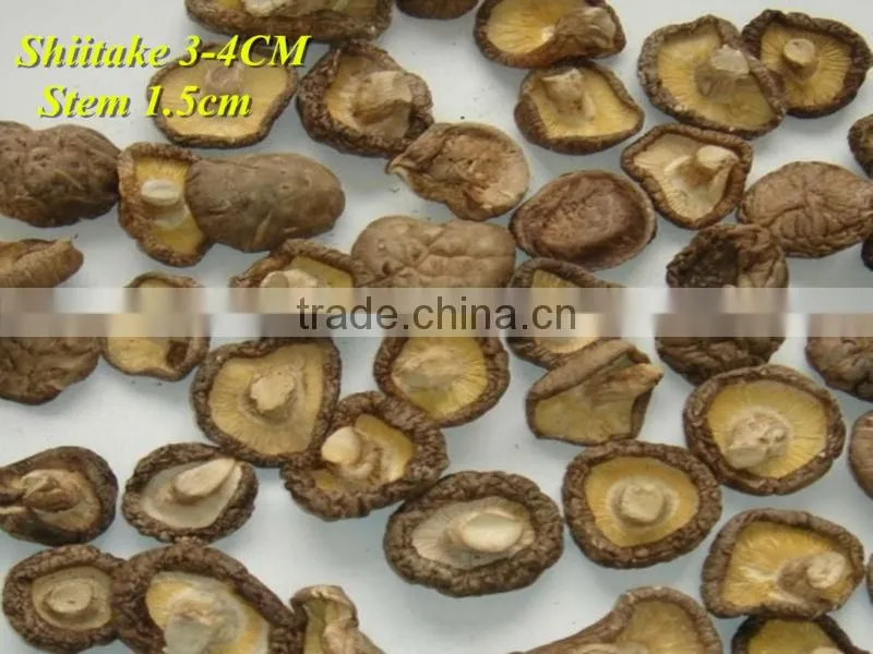 whole dried shiitake mushroom price 3-4cm
