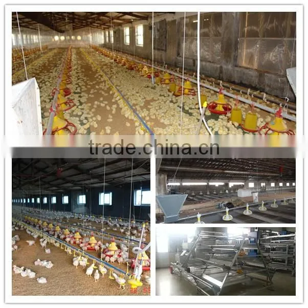 floor net for broiler