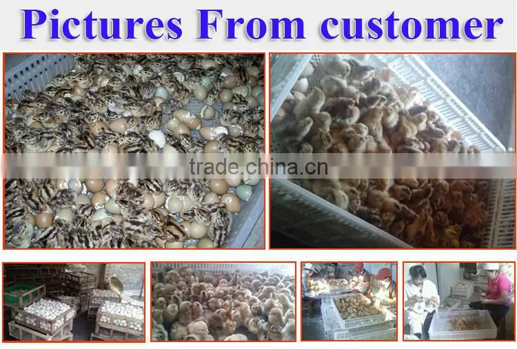 Cheap 528 incubator machine price,poultry incubator machine made in china