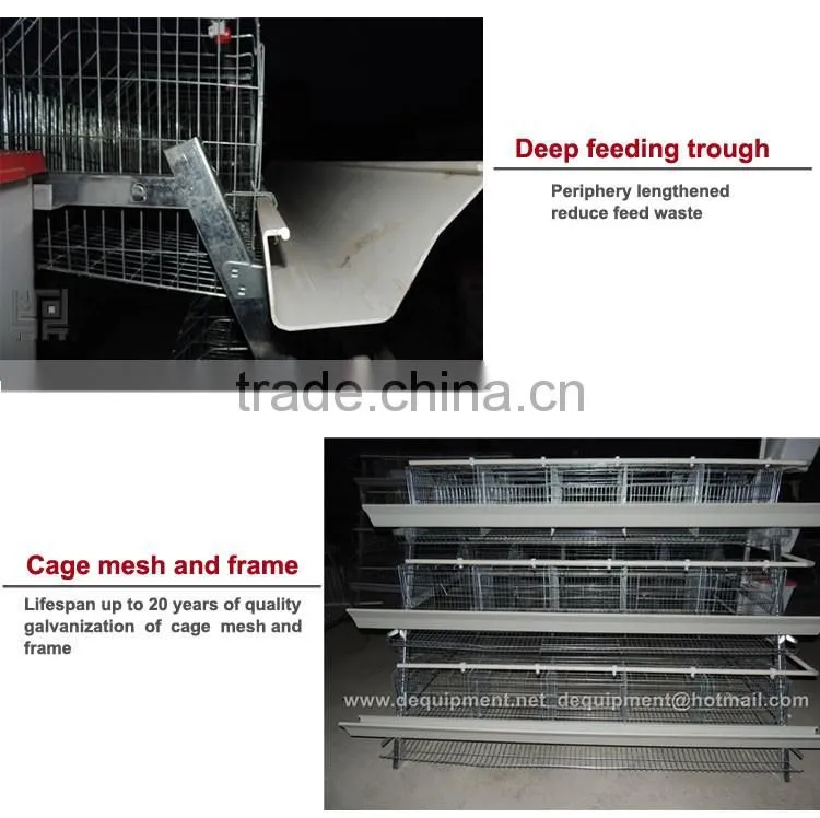 CHINA sales promotion 80 dollars this month chicken coop supplies