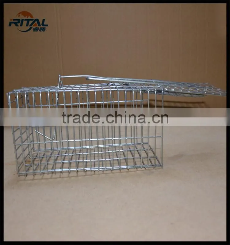 Factory Produce Eco-friendly metal automatic mouse or rat trap wire cage