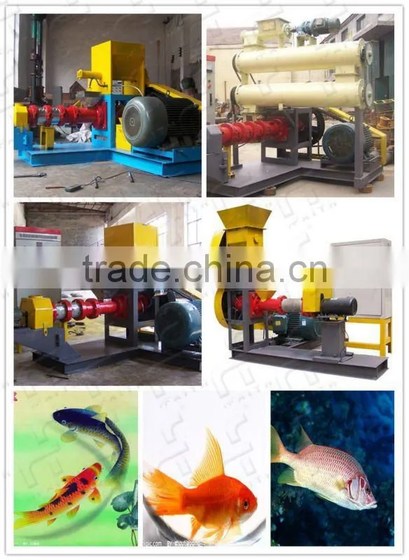 Fish feed production line
