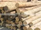 115 Reliable manufactory bamboo tooth pick making machinery