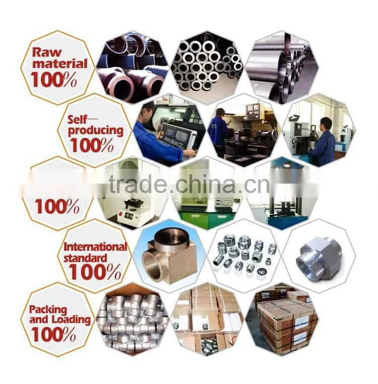 2017 Good quality high pressure 3000lb socket