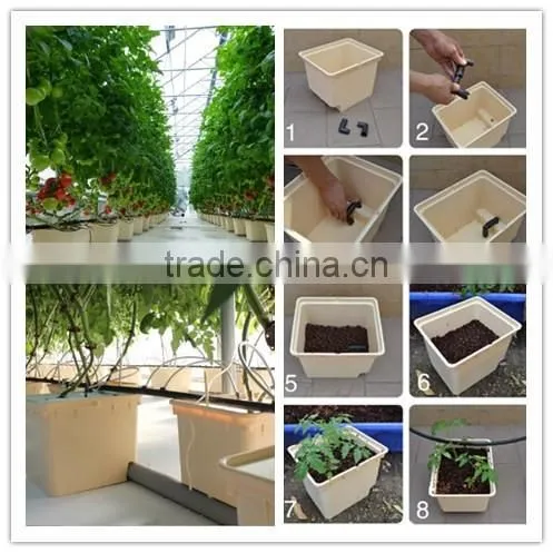 Drip Irrigation Hydroponics System Dutch Bucket for Strawberry