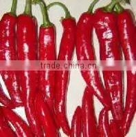 Capsicum Oleoresin
