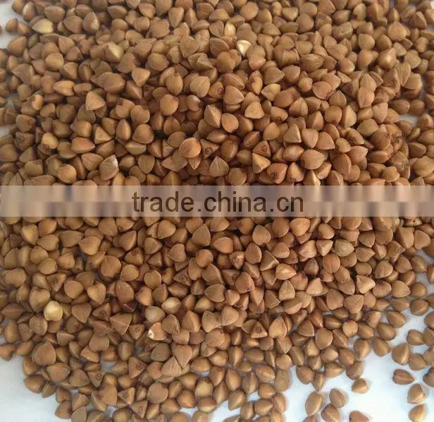 2014 Crop Certified Organic Roasted Buckwheat