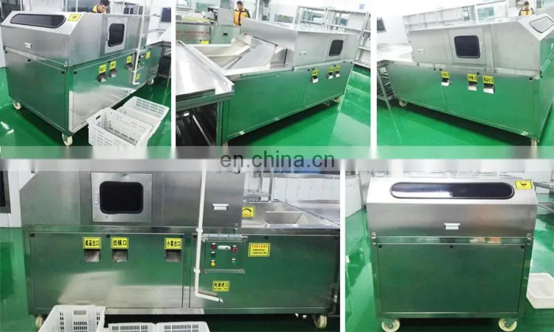 Date pitting machinery for olive fruit mini olive pit pitting and stuffing machine 2 years warranty