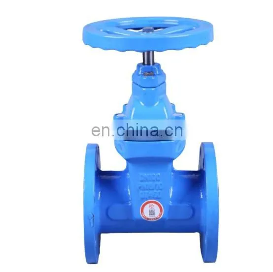 Flexible, Split Wedge Gate Valve