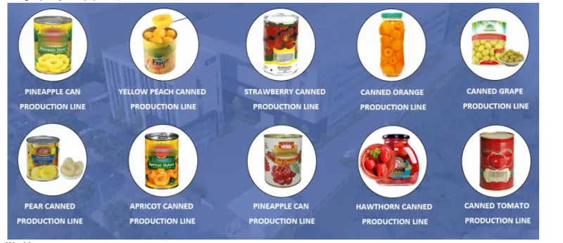 Good Quality Orange Can Canning Canned Fruit Processing Production Line Genyond
