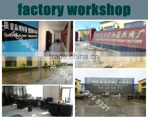 common wire nails supplier from China special for yemen market