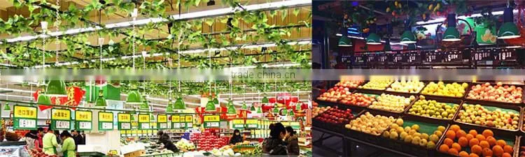 LED Commercial Lighting 30w Hanging Fresh Lights for Food