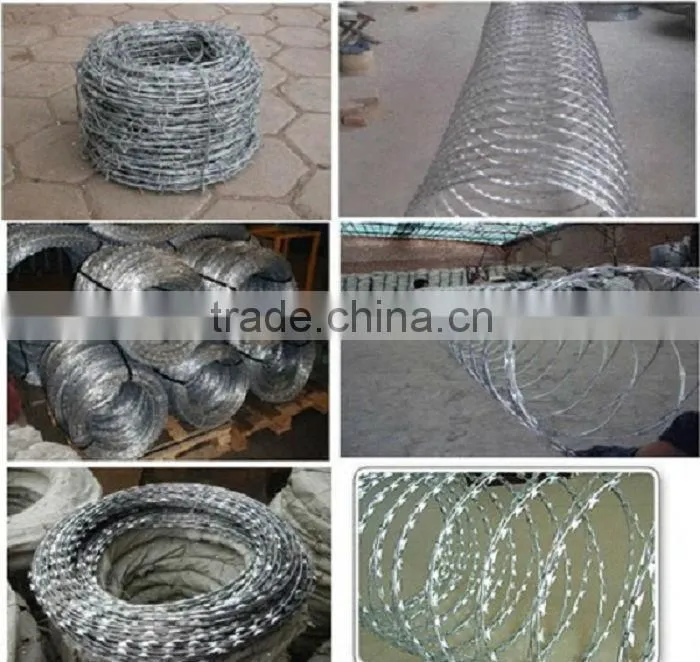 Galvanized Concertina Razor Wire