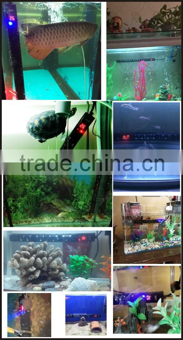 MAXWARE sale LED display Aquarium heater fish tank heater