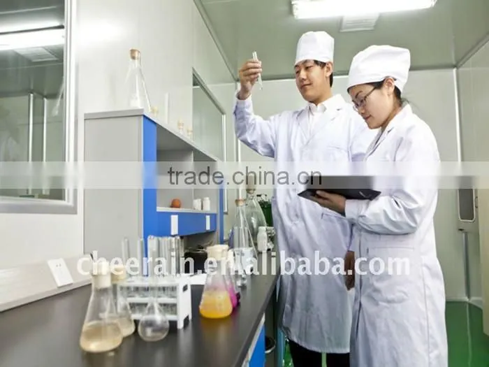 Shandong CE FDA certificate passed adhesive medical wound dressing material wound dressing wound care dressing
