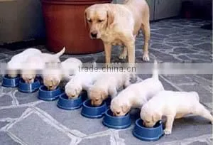 Professional food processing machine for pet food