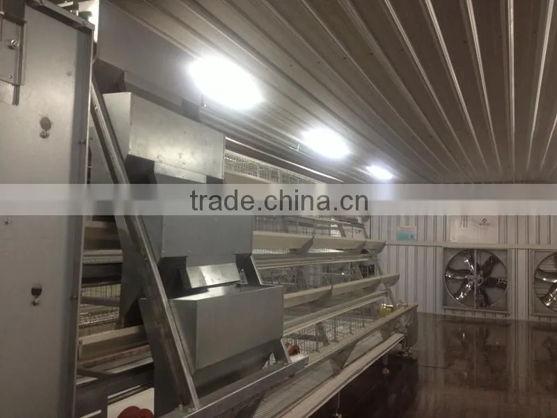 professional steel layer chicken cage equipments
