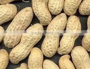 Peanuts