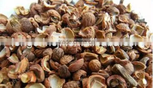 Automatic Almond Peeling Machine/Almond Processing Line prices