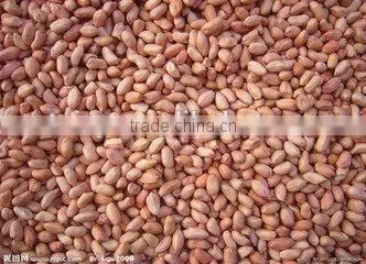 super large peanut shelling machine unit /pneumatic conveying groundnut sheller machine unit