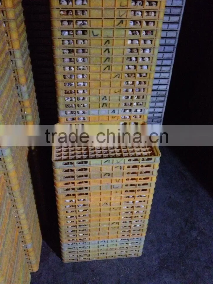 China best selling plastic egg crate tray for quail eggs delivery