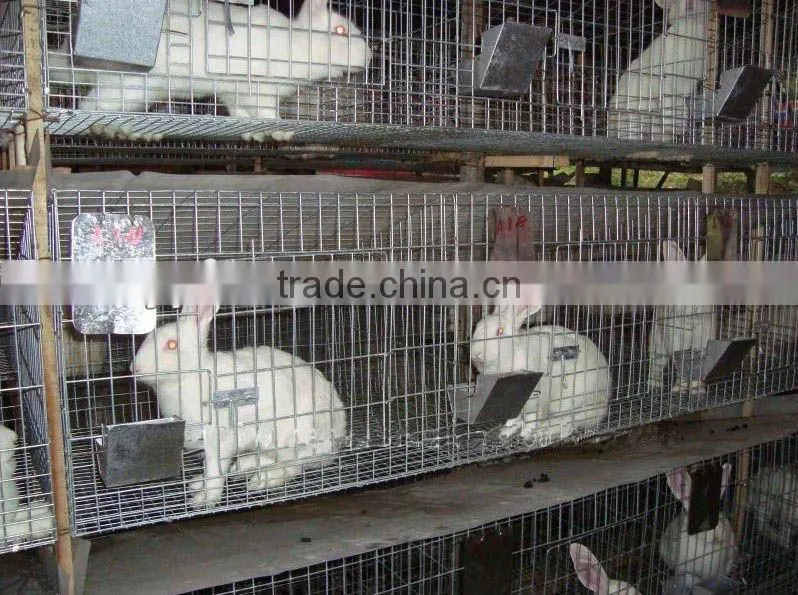 Farm Rabbit Cage
