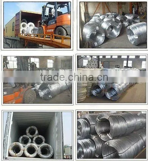 Galvanised Lacing Wire