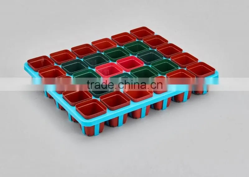 Flower Pot for succulent plant