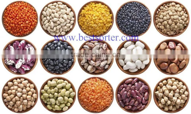 Vegetable Planting Equipment Color Sorter/Cheap wheat grain bulk dry fruit belt-type food color sorter