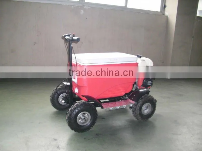 MINI SCOOTER 43CC SX-G110