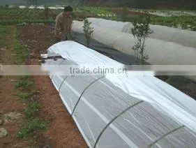 big size agriculture greenhouse tunel film