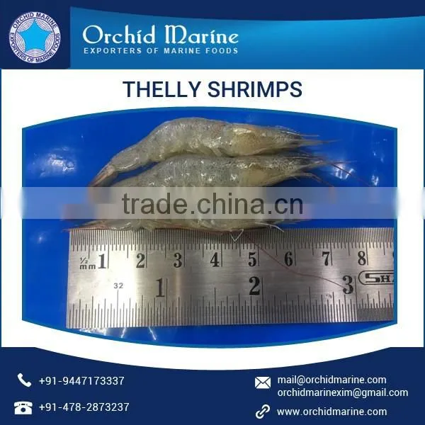 2017 Most Selling Organic and Pure Thelly Shrimps Available for Wholesale Purchase