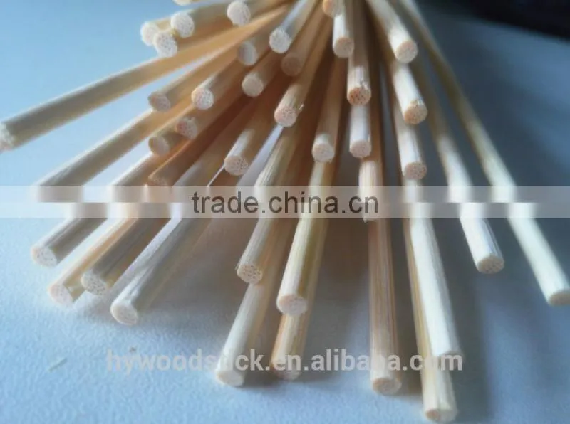 Barbeque Skewers For Meat